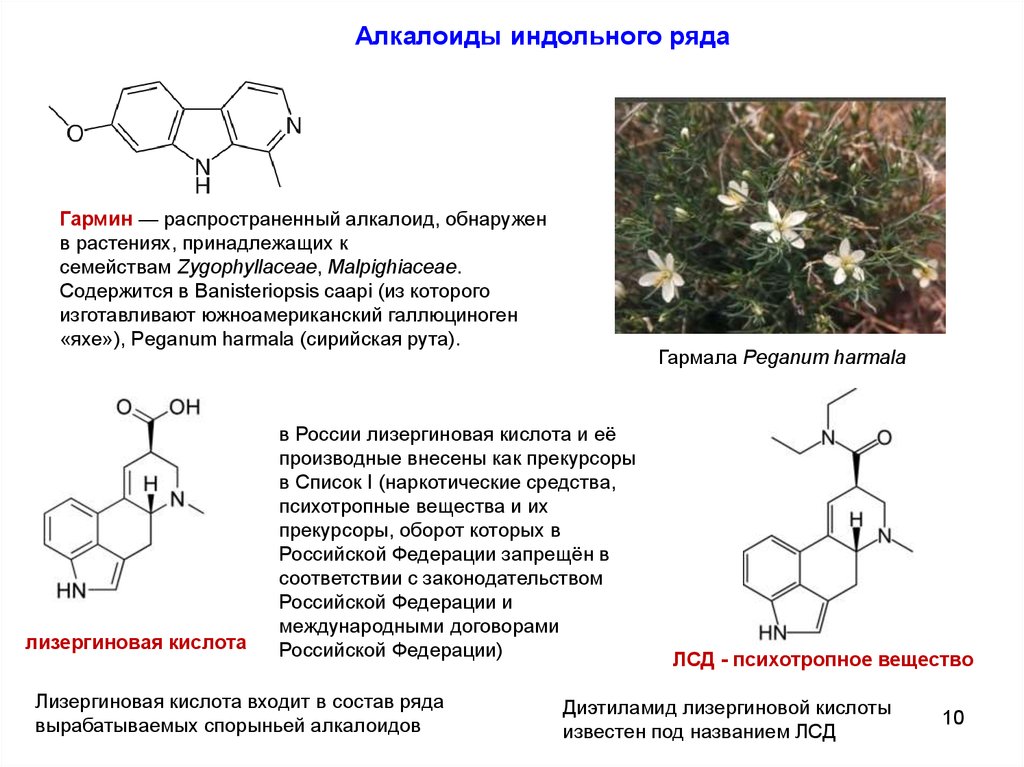 Кислота входящая в состав. Алкалоиды структурная формула. Индольные алкалоиды формулы. Алкалоиды химическое строение. Индол строение.