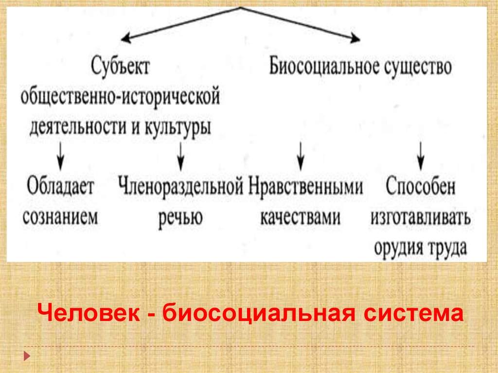 Что делает человека человеком обществознание 8 класс презентация