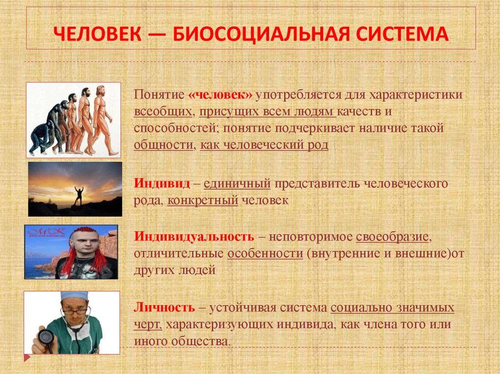 Понимание человека тема. Человек это в обществознании. Что делает человека человеком. Человек Биосоциальная система. Человек это по обществознанию.