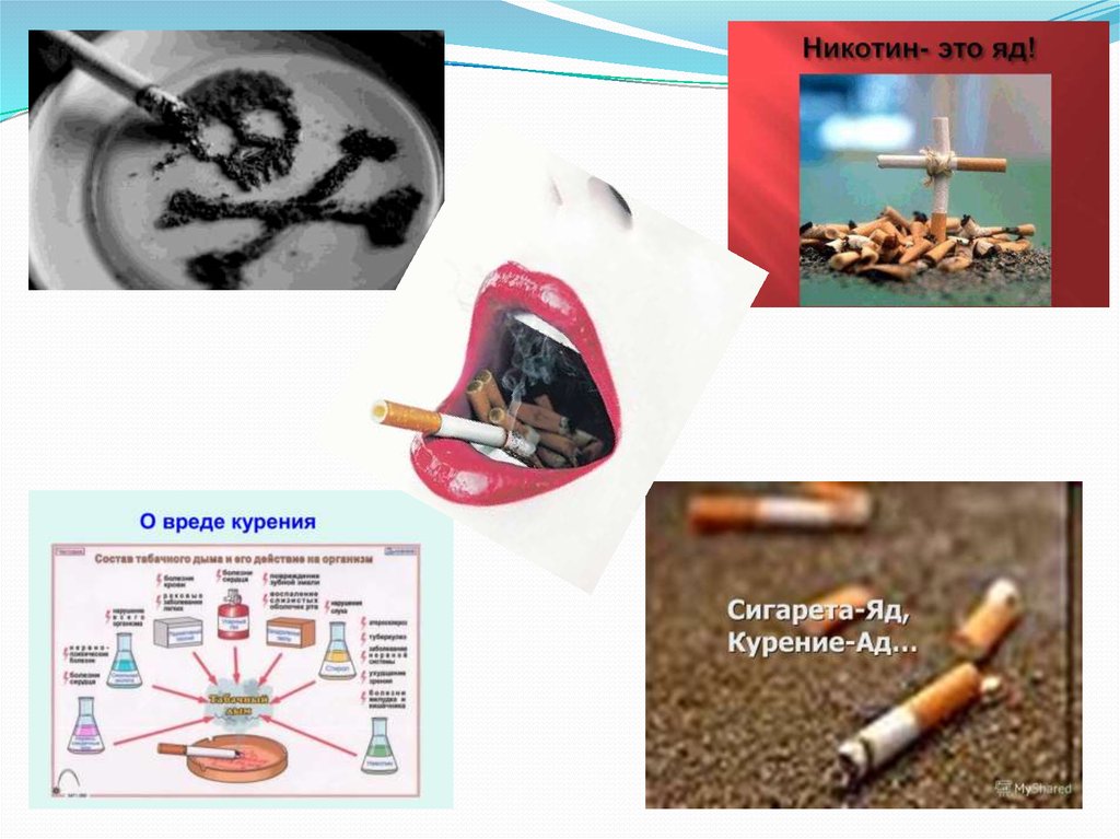 Действие никотина на человека. Влияние курения на организм. Влияние табака на организм человека. Воздействие курения на организм. Влияние сигарет на организм человека.