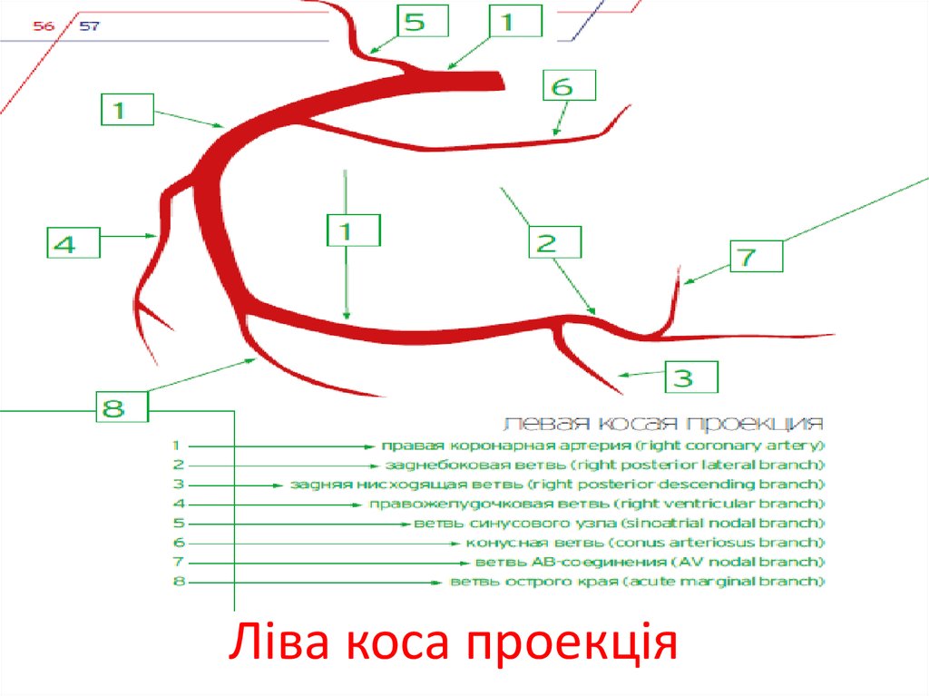 Ліва коса проекція