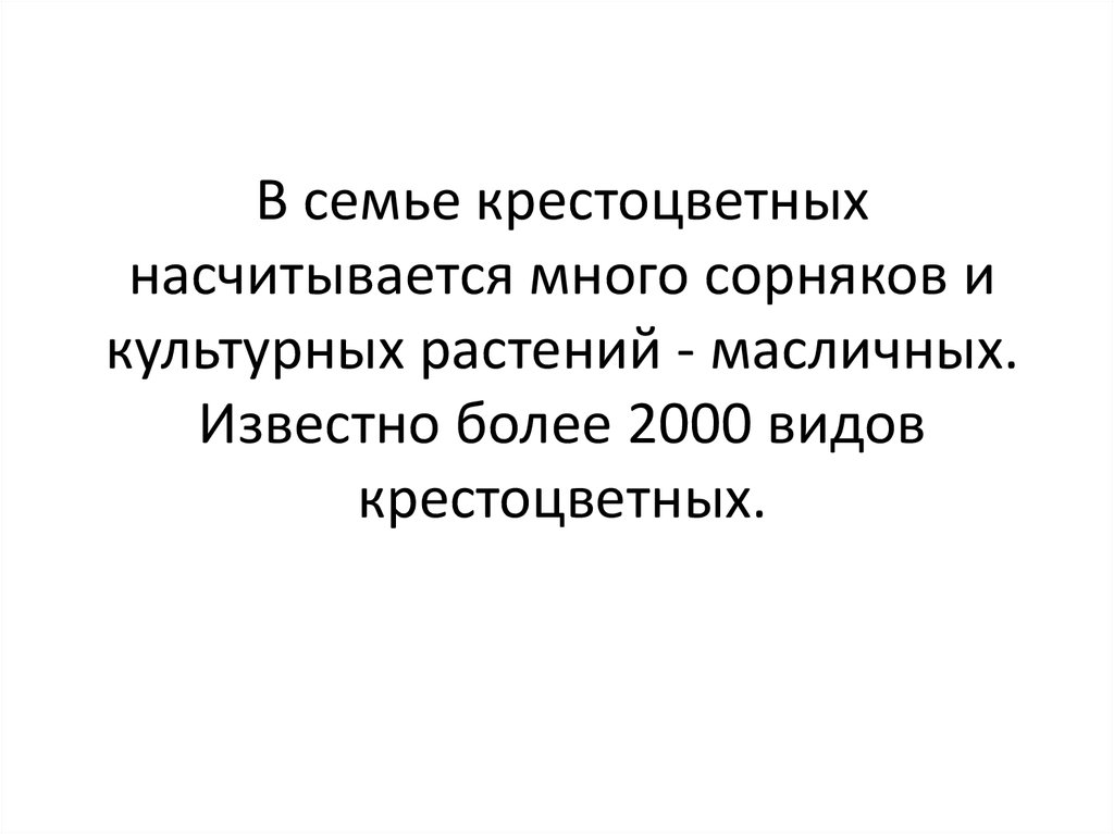 В семье крестоцветных насчитывается много сорняков и культурных растений - масличных. Известно более 2000 видов крестоцветных.