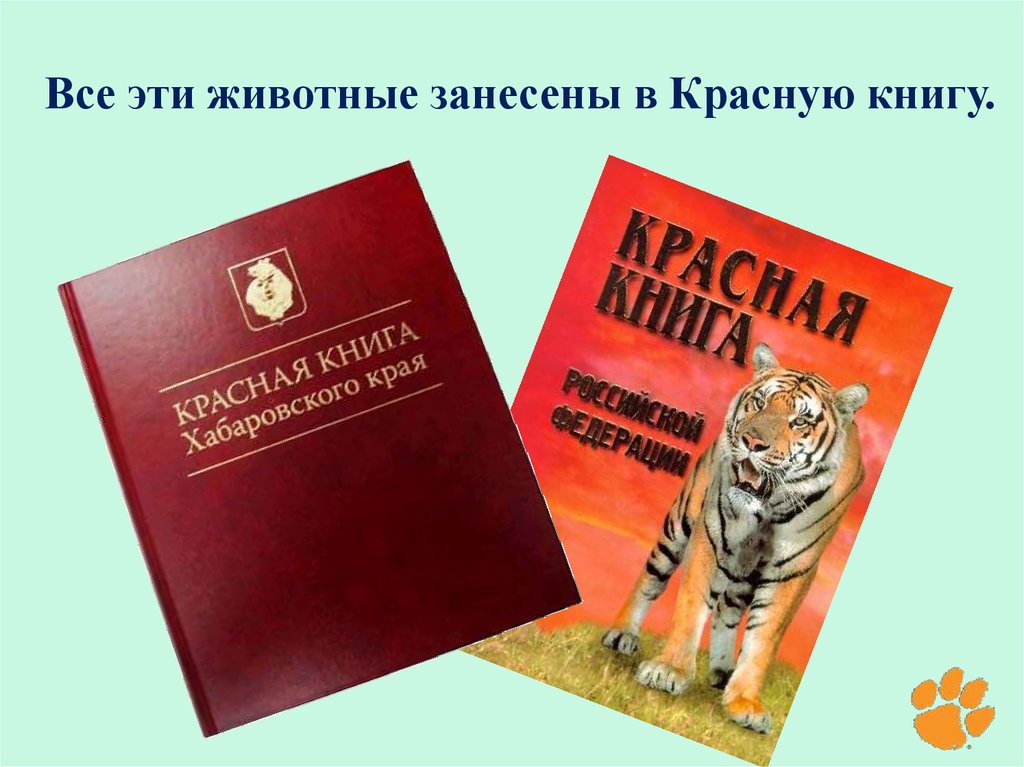 Красная книга красные книги. Красная гнида животных. Животные занесенные в красную книгу. Животное занесенное в красную книгу. Представители красной книги России.