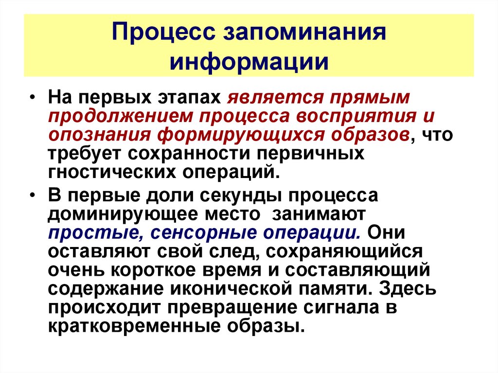 Вид памяти включающий процессы запоминания