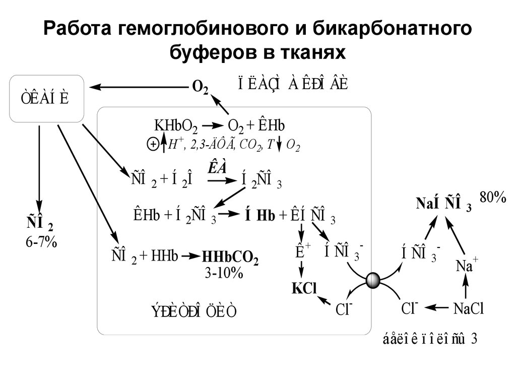 Бикарбонатный буфер схема