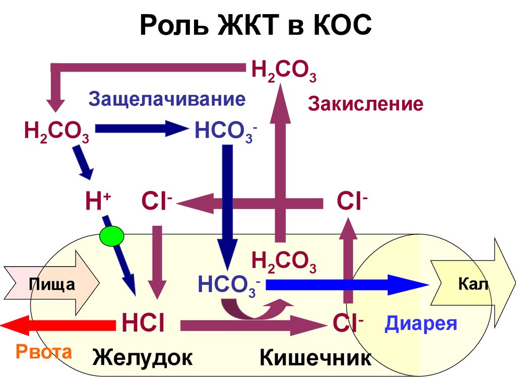 Щелочной состав крови