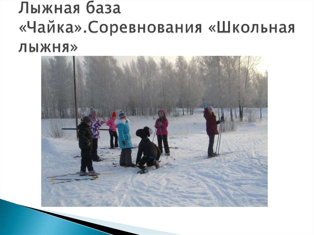 Лыжная база «Чайка».Соревнования «Школьная лыжня»