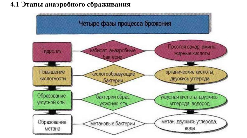 Стадий ферментаций. Этапы процесса анаэробного брожения. Фазы процесса брожения. Фазы метанового брожения. Процесс брожения стадии.