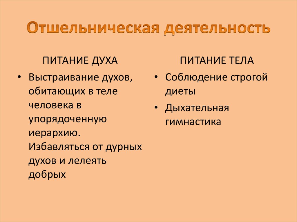 Отшельническая деятельность