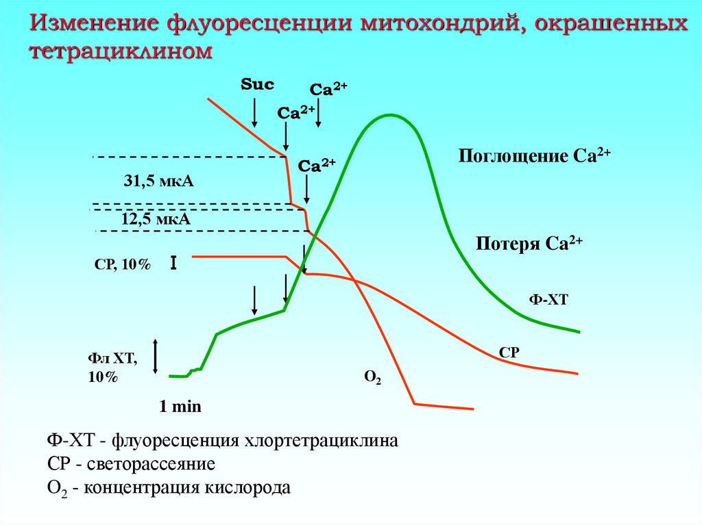 Изменение уровня кислорода. Зависимость флуоресценции от концентрации. Поглощение флуоресценция. Интенсивность флуоресценции от концентрации. Изменение флуоресценции.