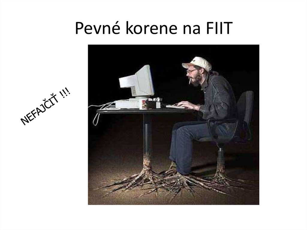 Pevné korene na FIIT