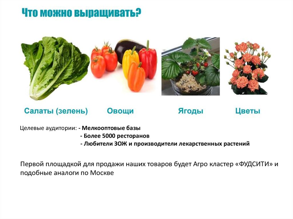 Целевые аудитории: - Мелкооптовые базы - Более 5000 ресторанов - Любители ЗОЖ и производители лекарственных растений