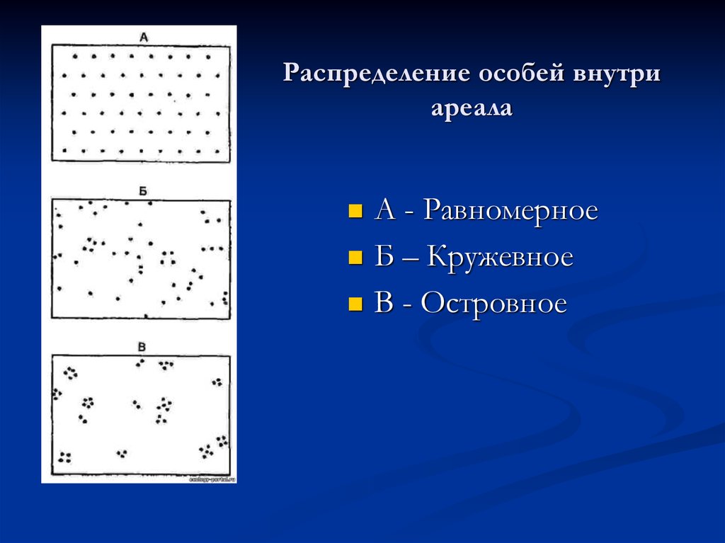 Группу особей данного