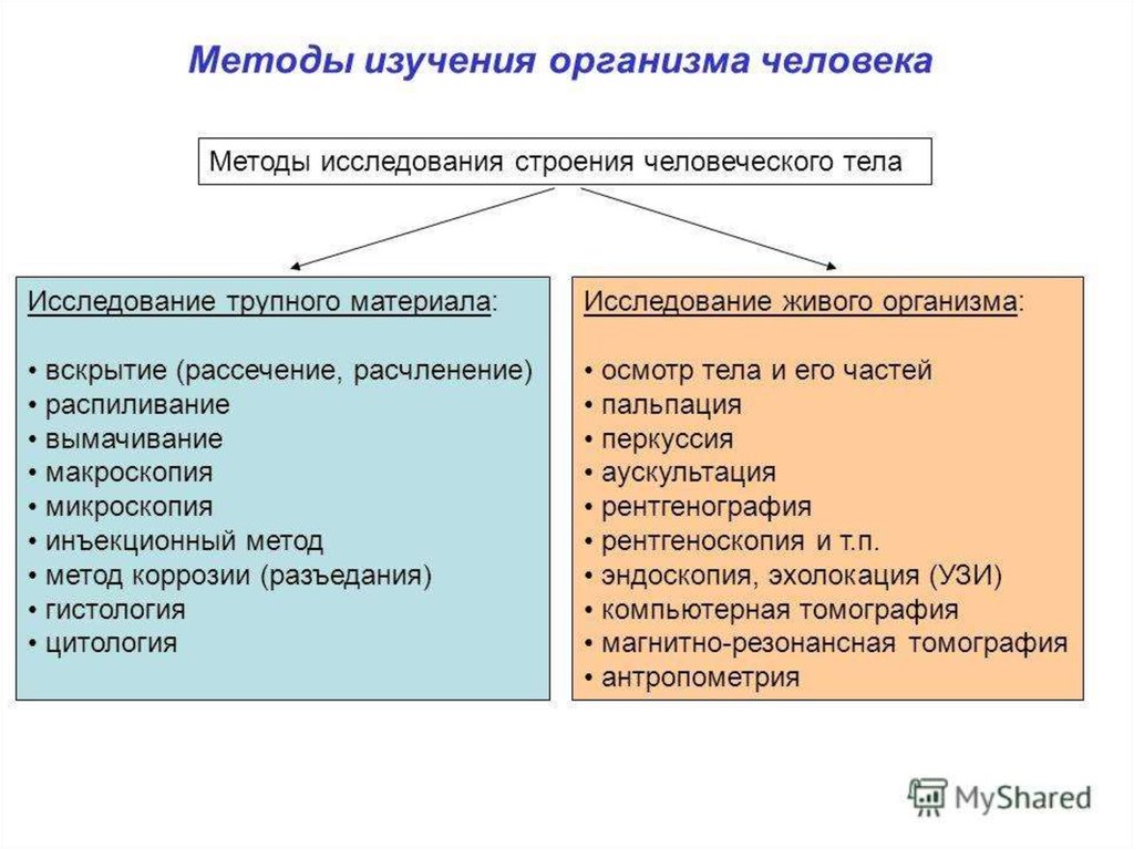 Современные методы изучения организма человека презентация