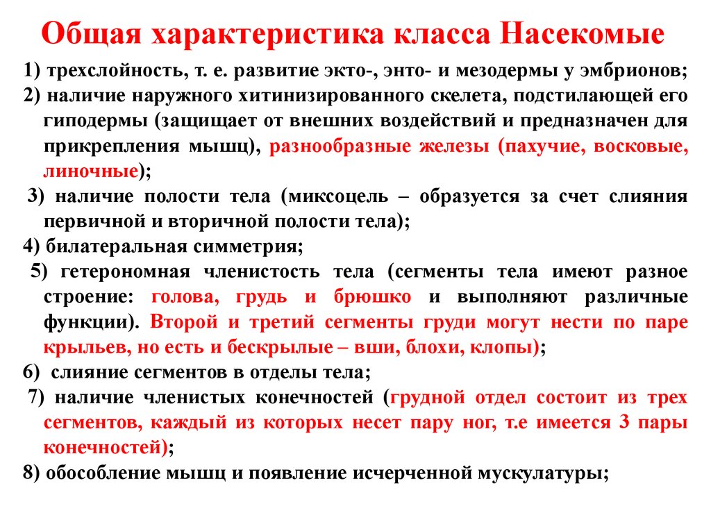 План характеристики насекомых