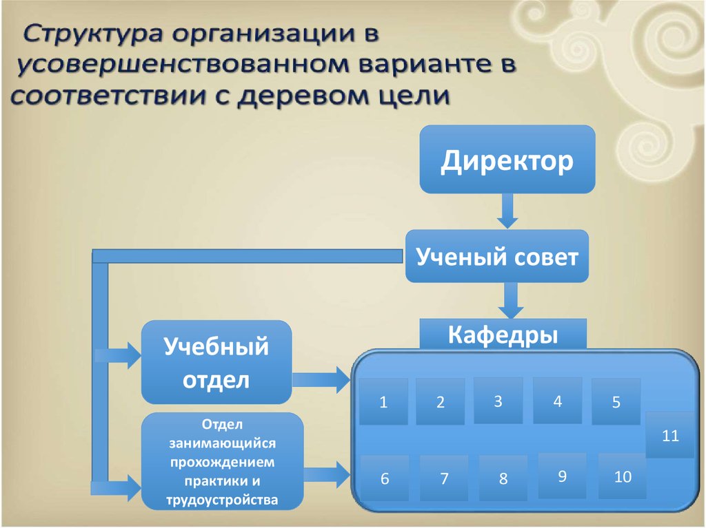 Приведите примеры организации