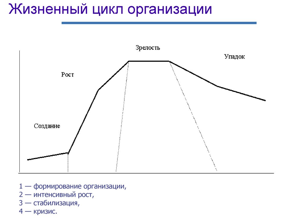 Презентация жизненный цикл организации