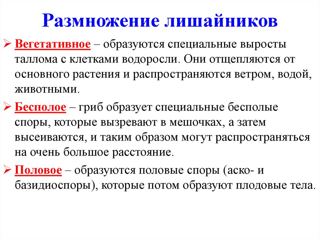 Размножение лишайников 5 класс биология схема