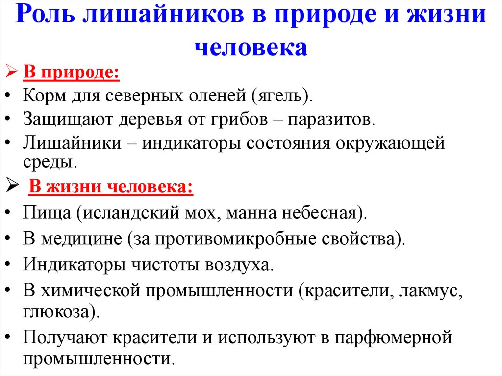 Составьте план ответа на вопрос какова роль лишайников в природе в жизни человека