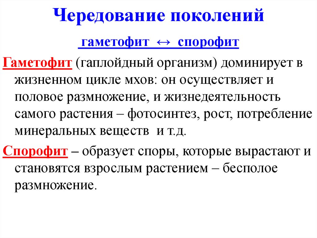 Гаметофитом называется. Чередование поколений спорофита и гаметофита. Чередование поколений. Гаметофит. Гаметофит и спорофит.