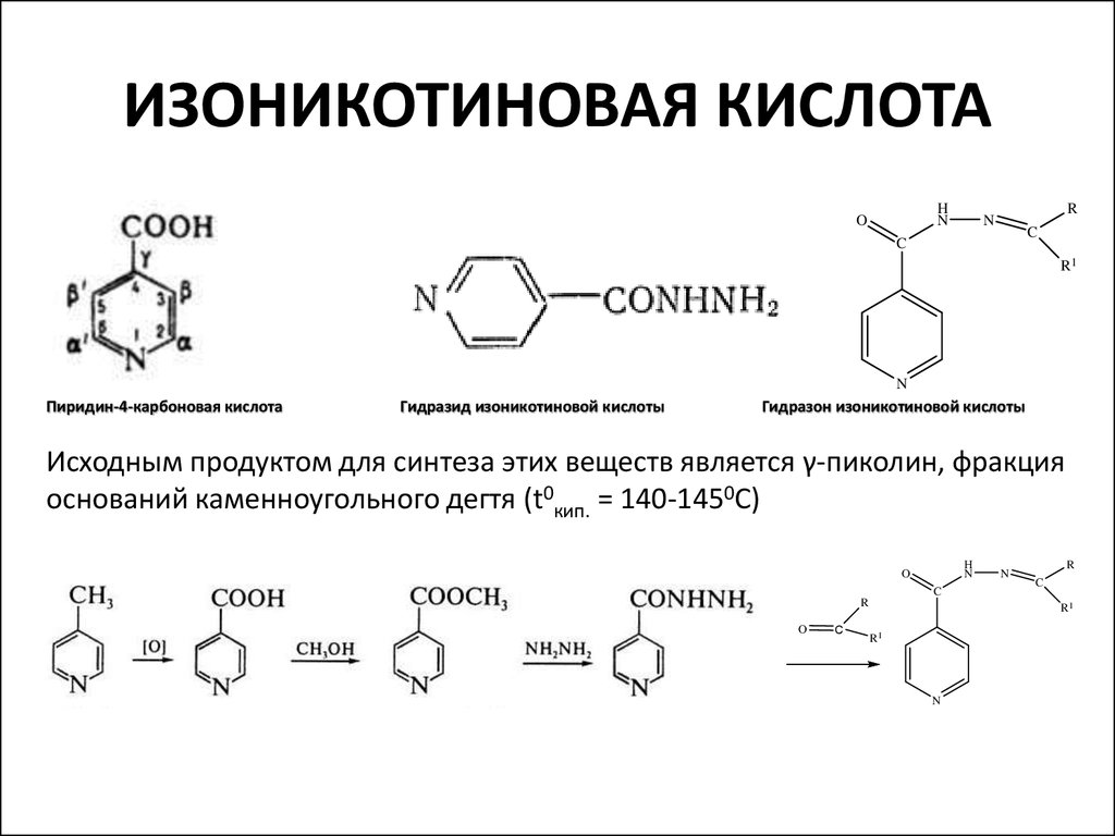 Прием кислоты. Изоникотиновая кислота и socl2. Производные никотиновой и изоникотиновой кислоты. Изоникотиновая кислота химические свойства. Гидразида изоникотиновой кислоты.