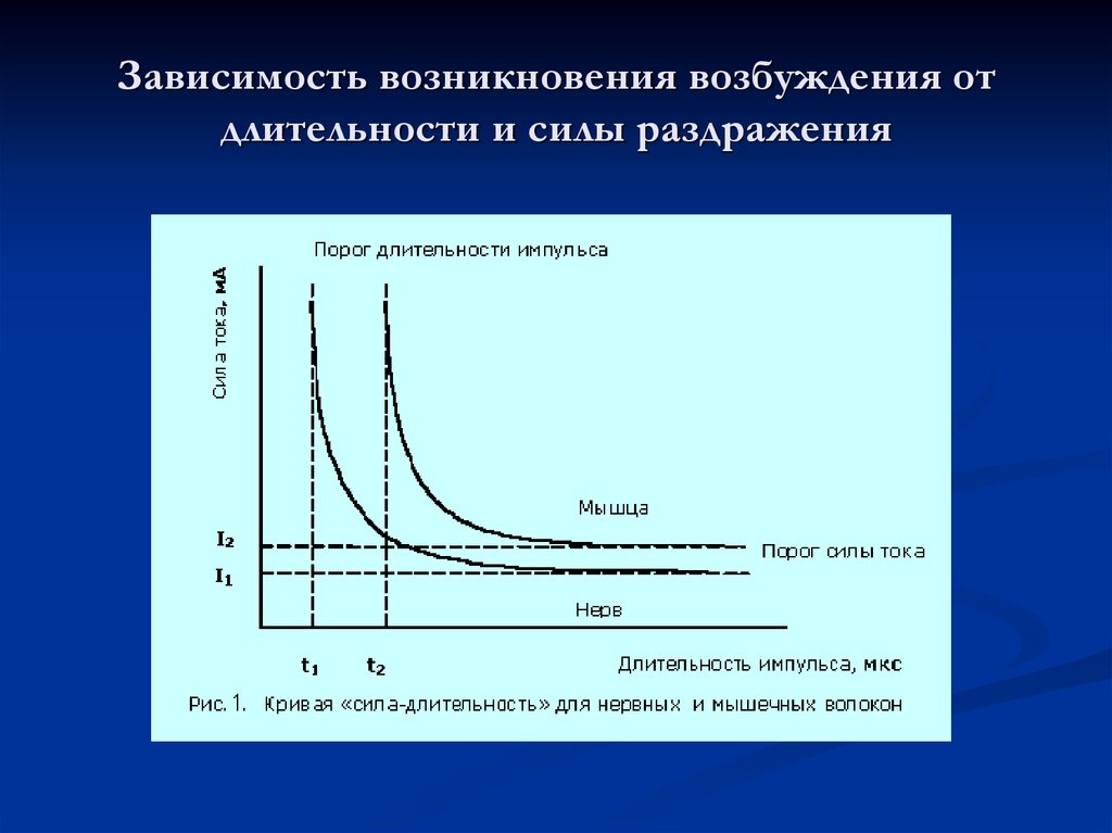 На рисунке изображена зависимость интенсивности жизнедеятельности организма от количества