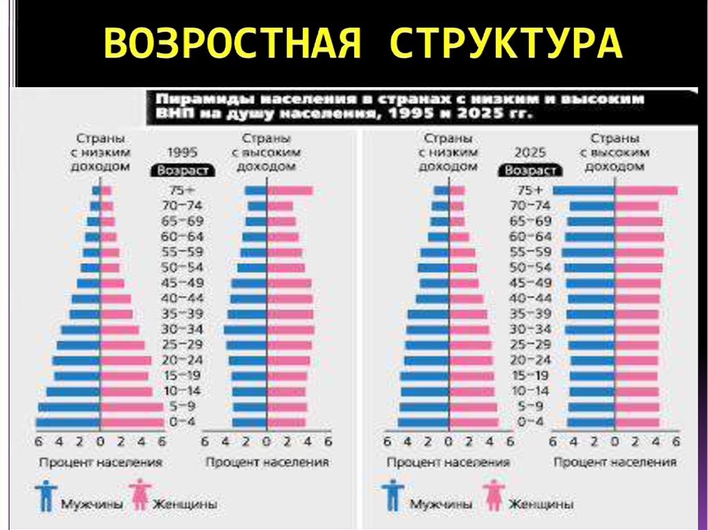 Страны по составу населения. Возрастной состав населения мира 10 класс география. Возрастно-половая структура населения мира. Возрастной состав населения мира карта. Возрастной состав таблица.