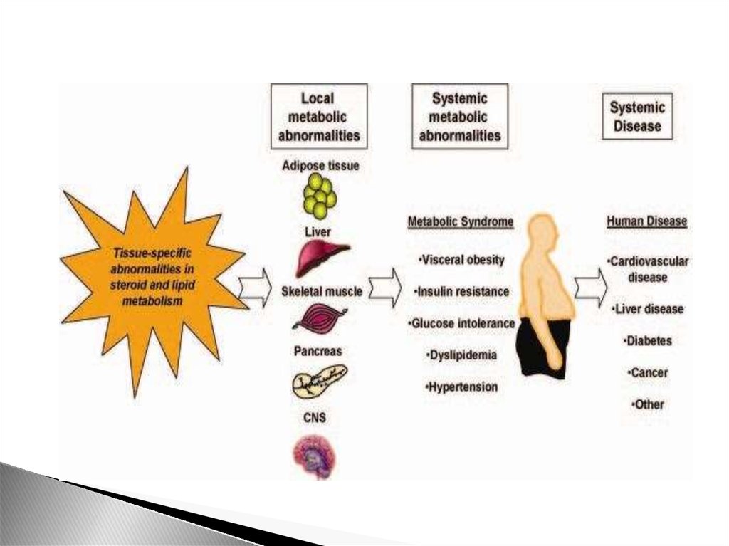 Метаболический синдром картинки для презентации