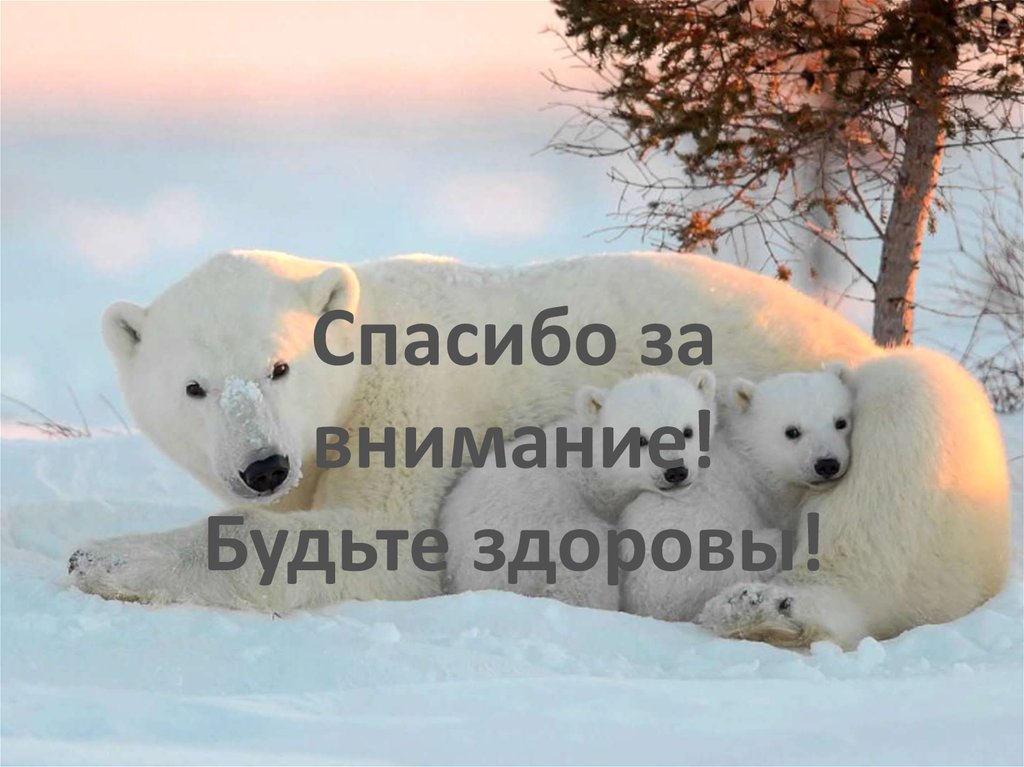 Спасибо за внимание! Будьте здоровы!