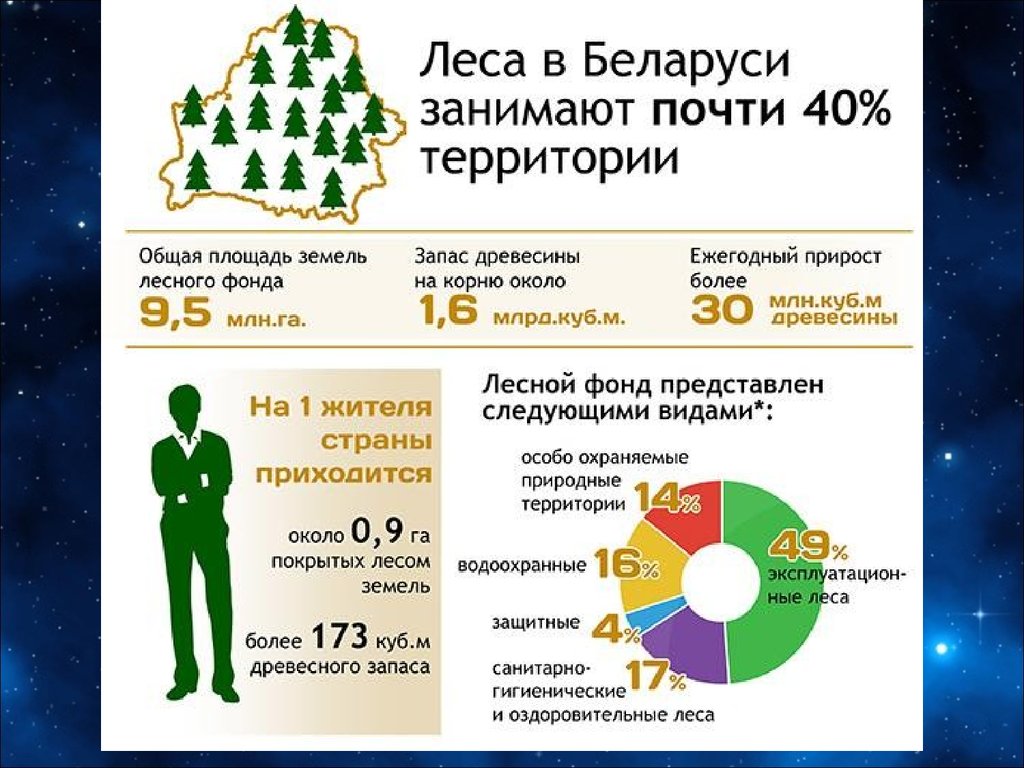 Беларусь проценты. Ресурсы Беларуси. Природные ресурсы Белоруссии. Природные богатства Белоруссии. Природные условия и ресурсы Белоруссии.