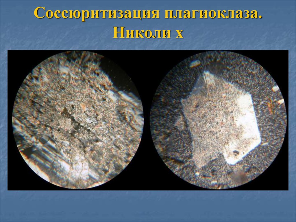 Соссюритизация плагиоклаза. Николи х