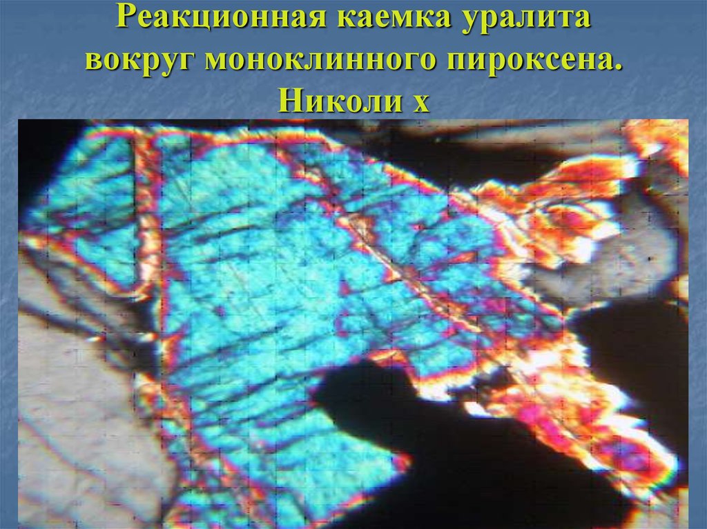 Реакционная каемка уралита вокруг моноклинного пироксена. Николи х