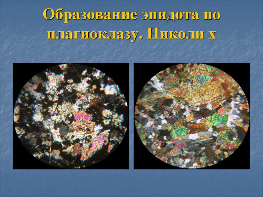 Образование эпидота по плагиоклазу. Николи х
