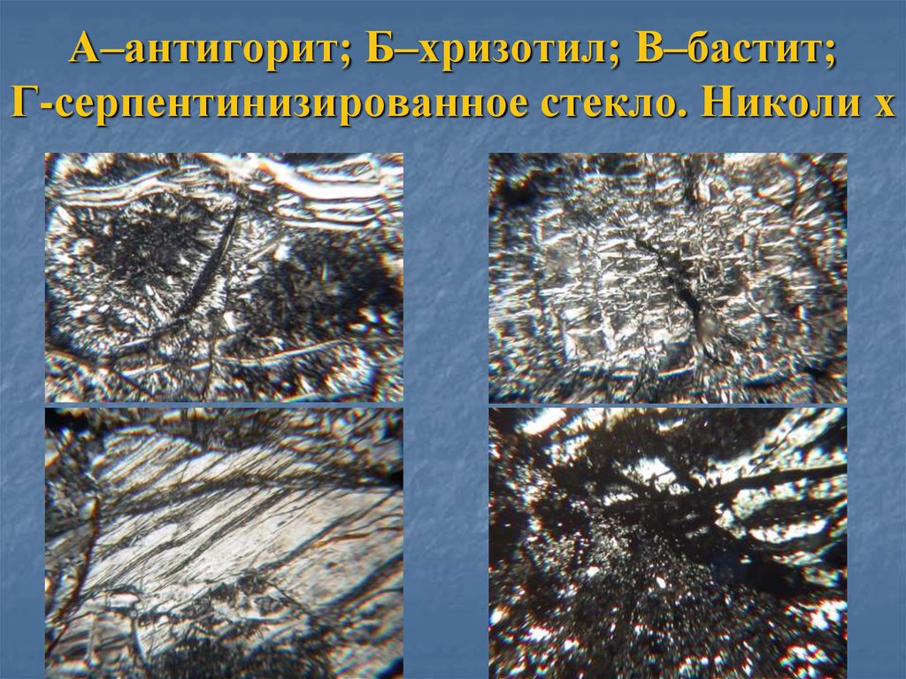 А–антигорит; Б–хризотил; В–бастит; Г-серпентинизированное стекло. Николи х