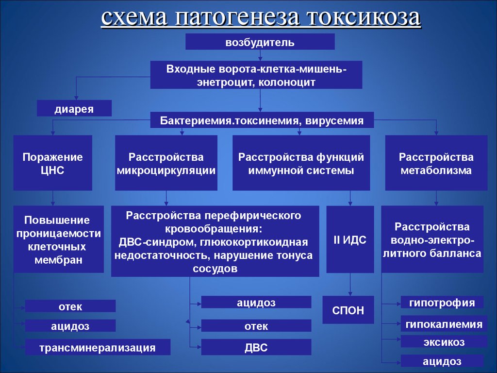 Этиология патогенез лечение. Первичный инфекционный токсикоз патогенез. Кишечный токсикоз патогенез. Патогенез токсикоза у детей. Токсикоз с эксикозом у детей патогенез.