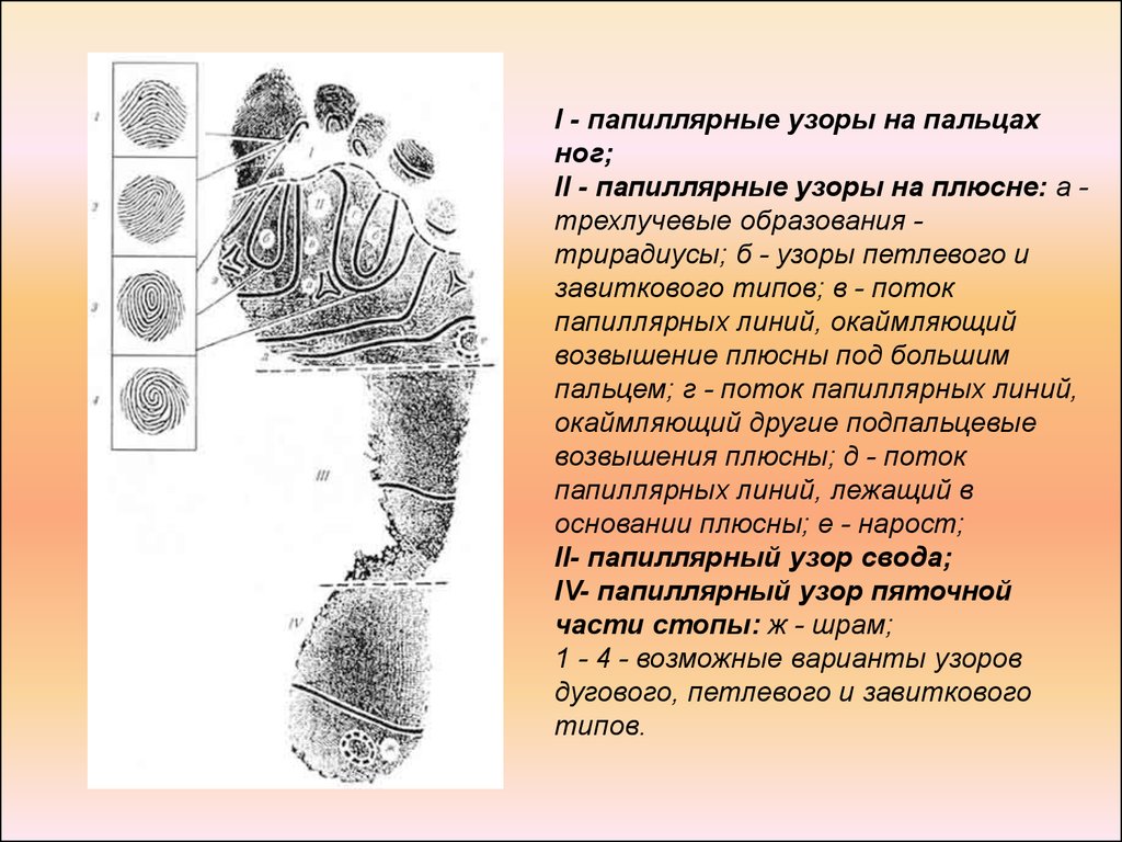 Стол для экспертного исследования следов рук