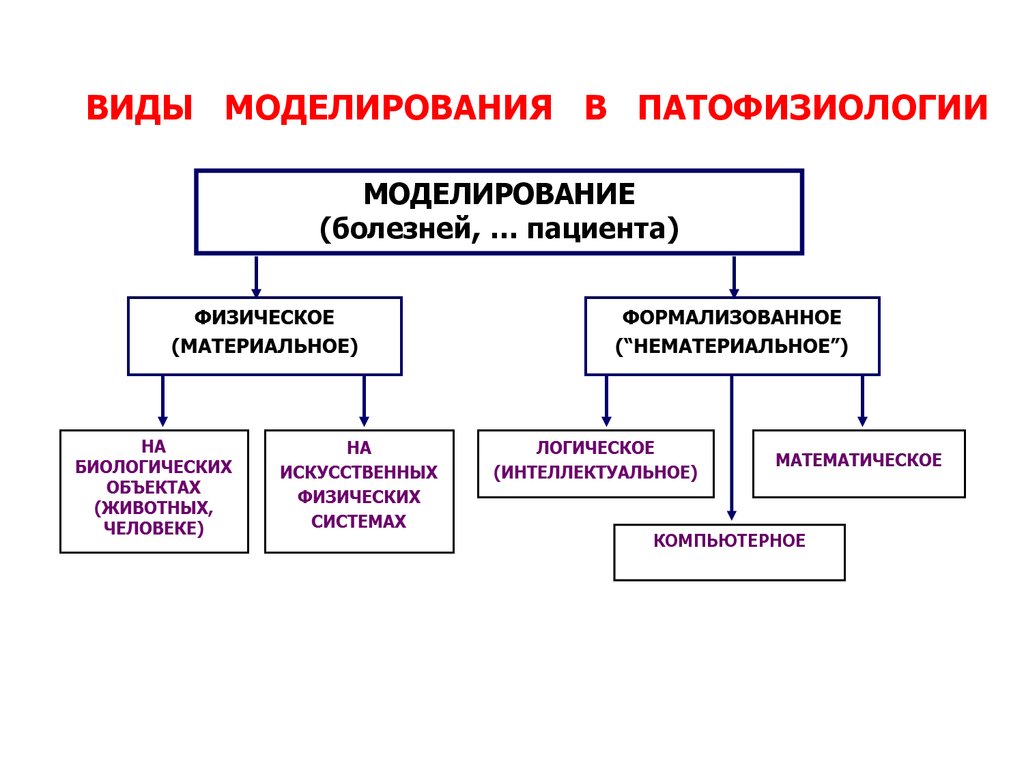 Презентация по патофизиологии