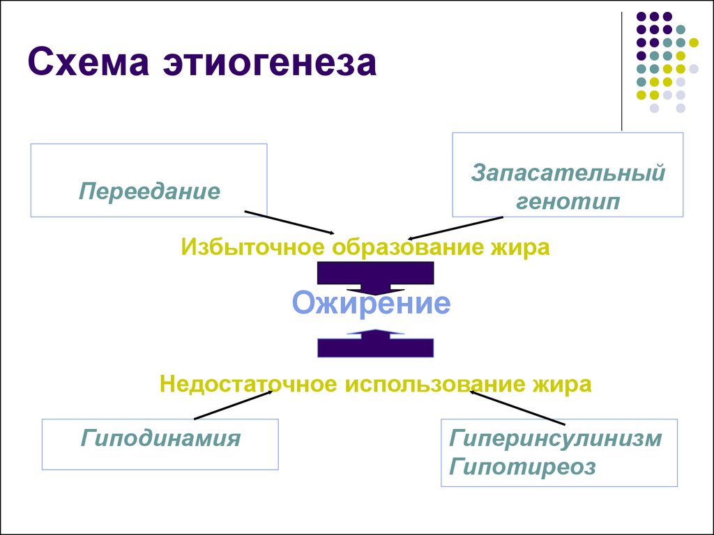 Лишнее образование