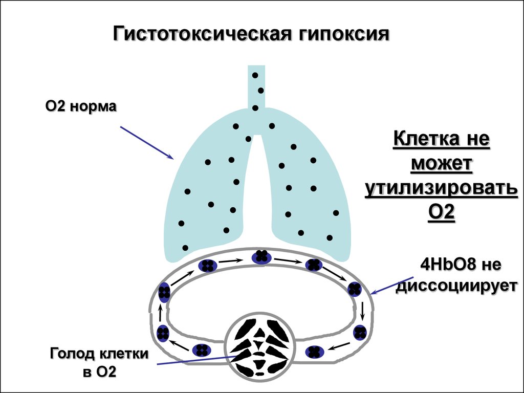 Гипоксия клеток. Гистотоксическая гипоксия. Шистотоксическая гипоуксия. Тканевая и клеточная гипоксия.