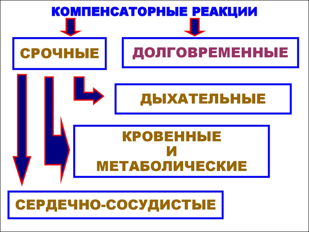 Схема развитие срочных компенсаторно приспособительных реакций при остро развивающейся гипоксии