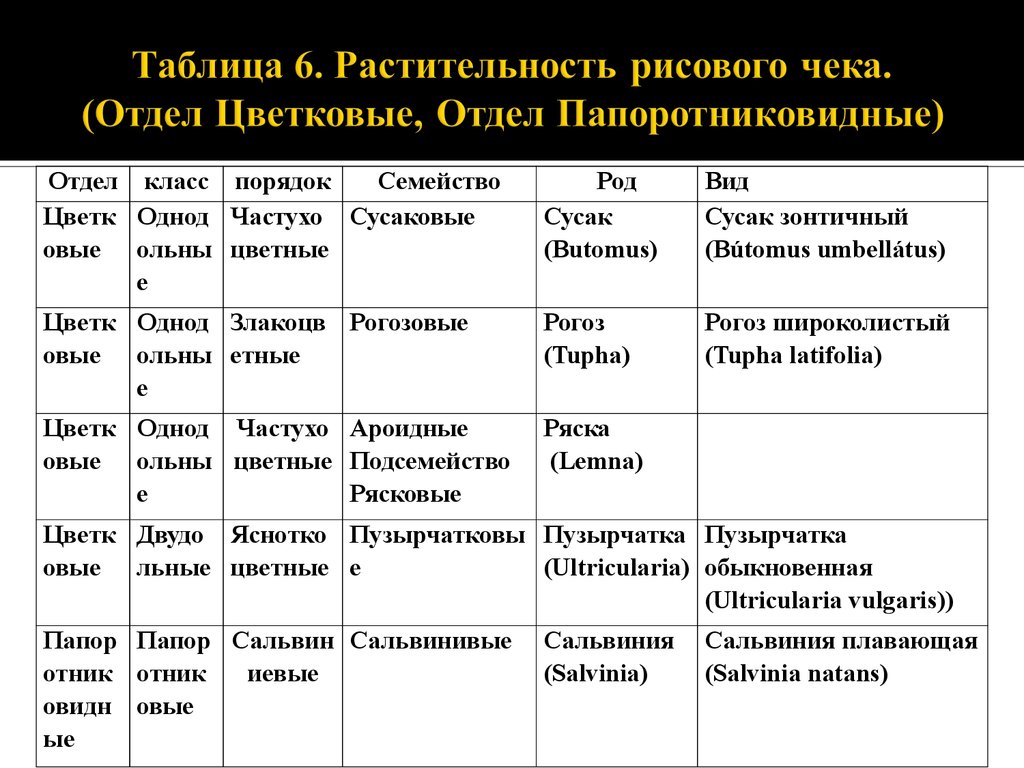 Биология 7 класс типы растительных сообществ таблица. Таблица растительности. Типы растительности таблица. Таблица виды растительных сообществ. Отдел Папоротниковидные таблица.