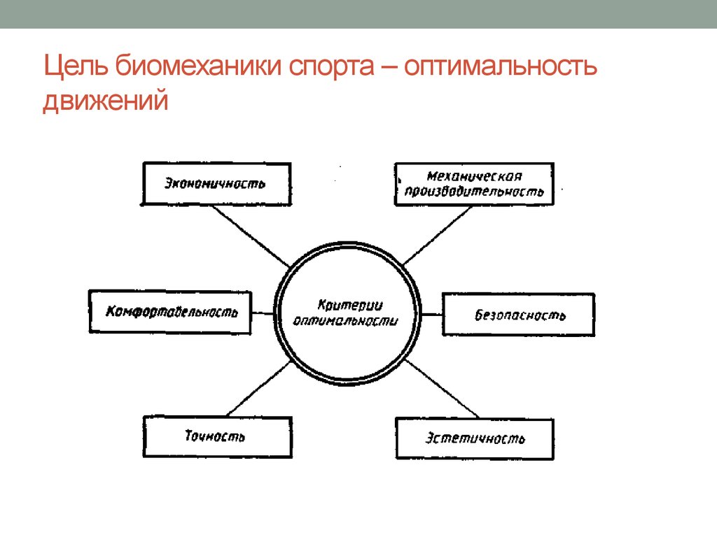 Методы исследования в биомеханике презентация