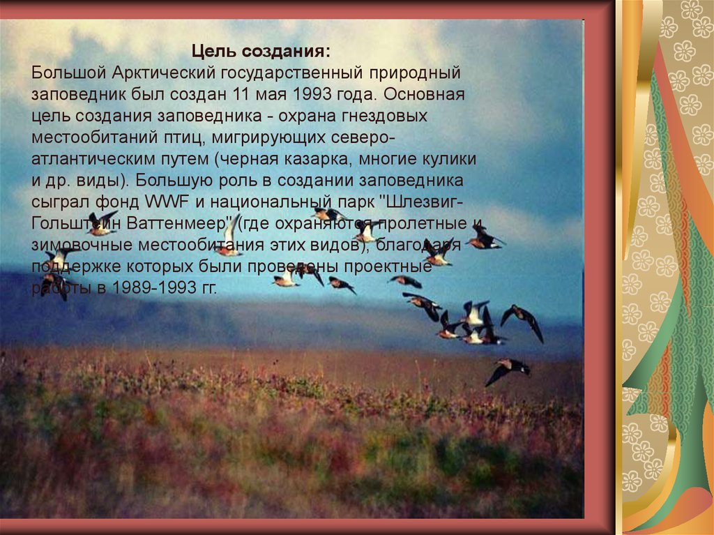 Заповедники создаются с целью. Большой Арктический заповедник цель создания. Большой Арктический государственный природный заповедник. Заповедники Сибири презентация. Цель большого арктического заповедника.