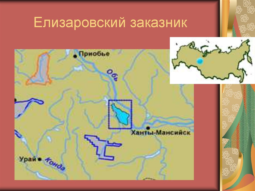 Заповедник в западной сибири. Елизаровский заказник ХМАО на карте. Елизаровский государственный природный заказник. Елизаровский заказник на карте России. Елизаровский заповедник на карте.