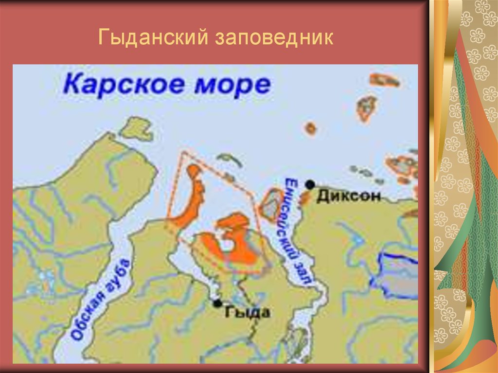 Гыданский полуостров. Гыданский заповедник на карте. Гыданский заповедник на карте России. Ненецкий заповедник на карте. Гыданский заповедник Флора.