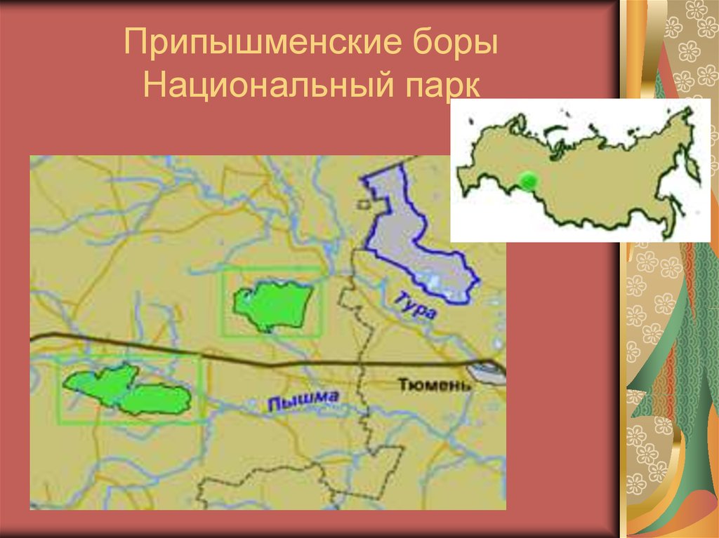 Заповедник в западной сибири. Национальный парк Припышминские боры на карте. Карта национального парка Припышминские боры. Национальный парк пришмынские Борына карте. Заповедники Западной Сибири на карте.