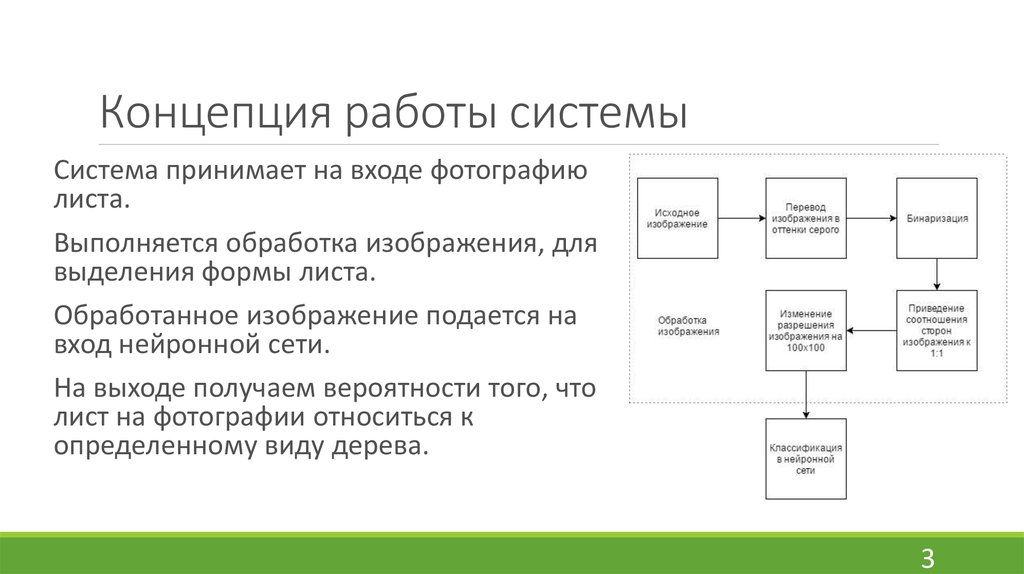 Обрабатываемые с помощью цифрового процессора изображения подразделяются на