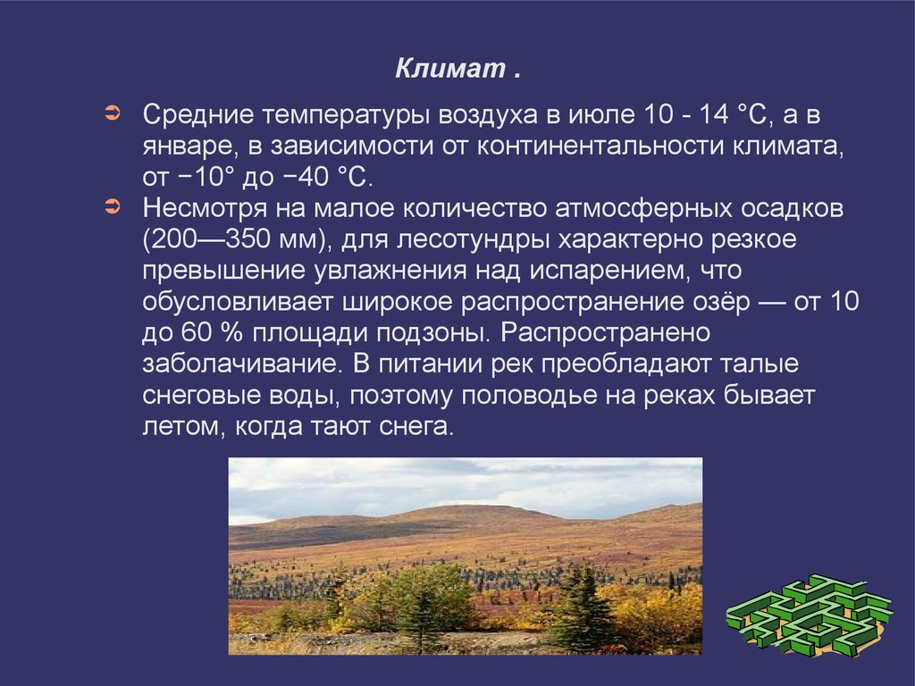 Коэффициент увлажнения тундры и лесотундры. Лесотундра климат. Лесотундра характеристика климата. Климат лесотундры в России. Лесотундра климат летом.
