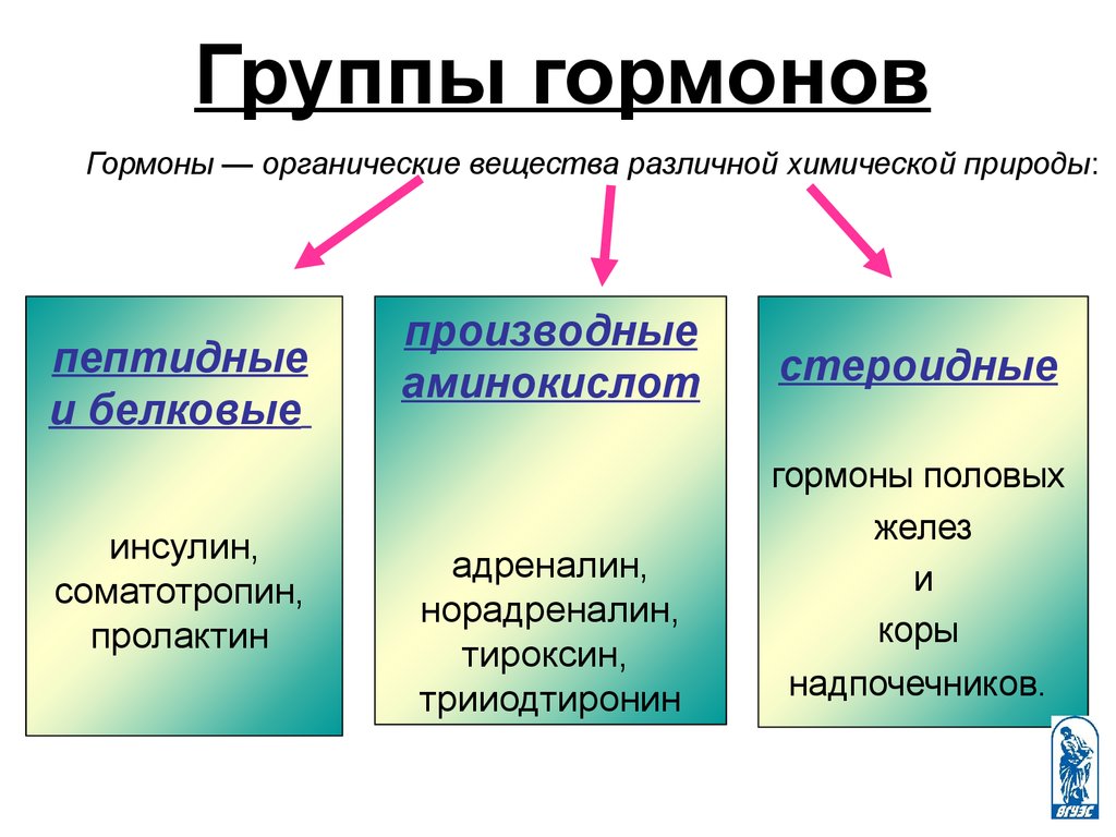 Гормоны презентация по биологии