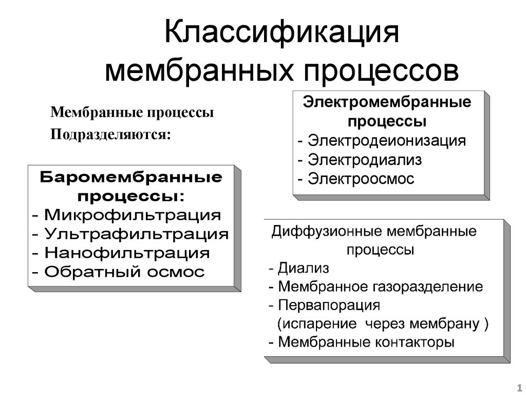 Процессы мембраны